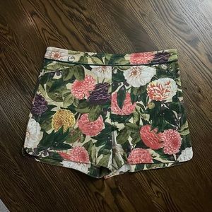 Elevenses size 8 shorts from Anthropologie